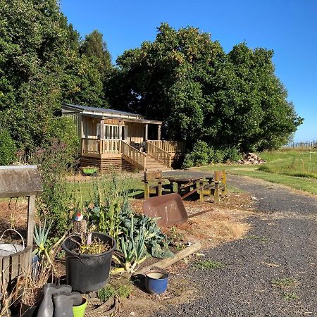 The Treehut Villa Ohauiti Eksteriør billede