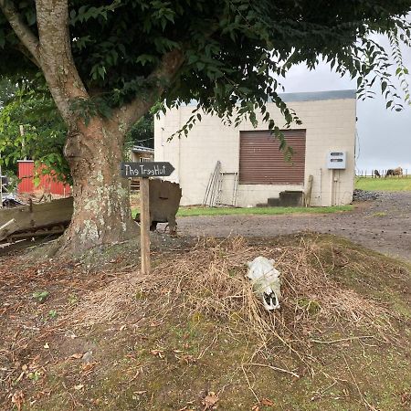 The Treehut Villa Ohauiti Eksteriør billede