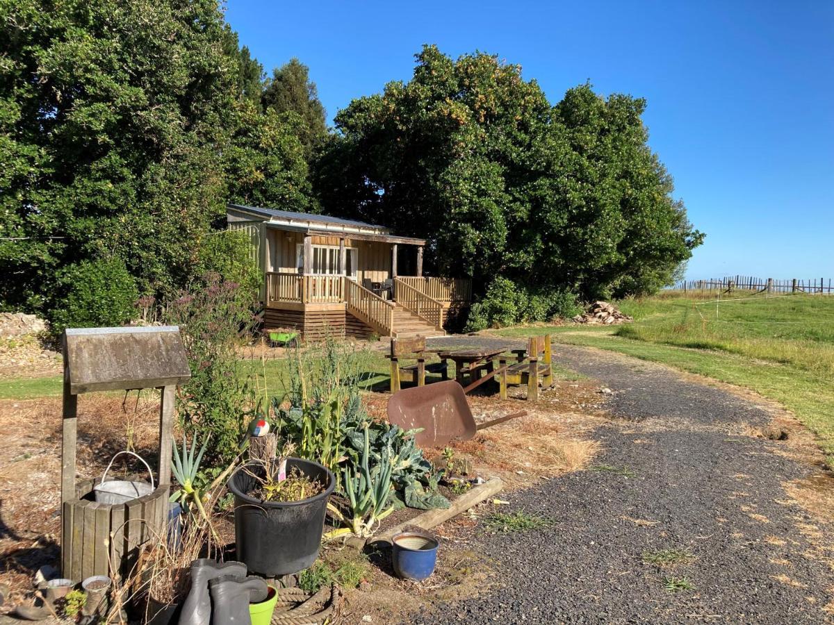 The Treehut Villa Ohauiti Eksteriør billede