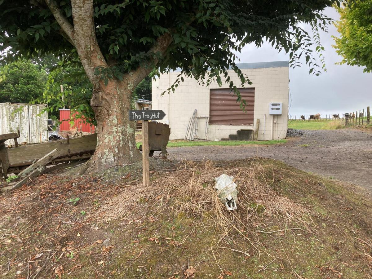 The Treehut Villa Ohauiti Eksteriør billede